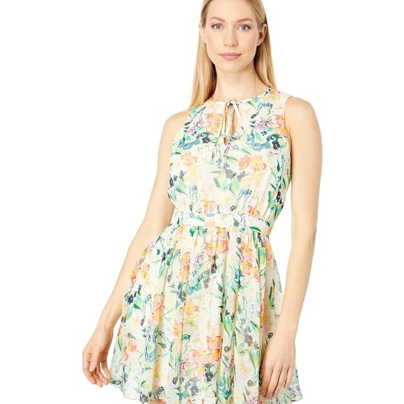 NWT Ted Baker Haariss Multicolor Floral Mini Dress - Picture 1 of 7